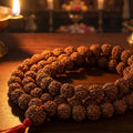 108 Beads 5 Mukhi Rudraksha Mala